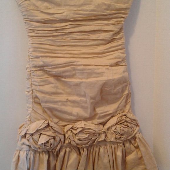 BCBG Champagne Cocktail Dress - Picture 1 of 7